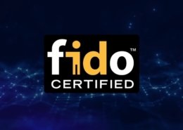 Saugumas be slaptažodžių globos įstaigose